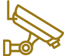 securityicon1 securityicon1